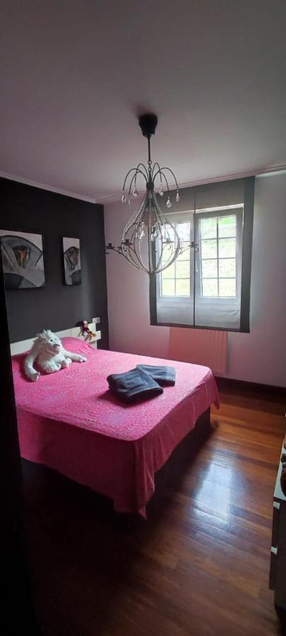 Nala House, Acogedor,Bien Comunicado,Aparcamiento Gratis En La Calle Bilbao Dış mekan fotoğraf